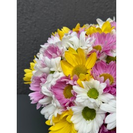 SERAMİK VAZODA KARIŞIK PAPATYA VE AYICIK ARAJMANI